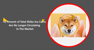 41 Percent of Total Shiba Inu Coins