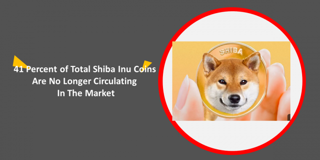 41 Percent of Total Shiba Inu Coins