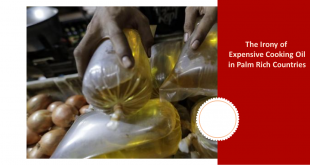 The Irony of Expensive Cooking Oil Prices in Palm Rich Countries